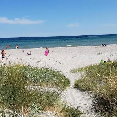 Unique Near Houhals * Hals